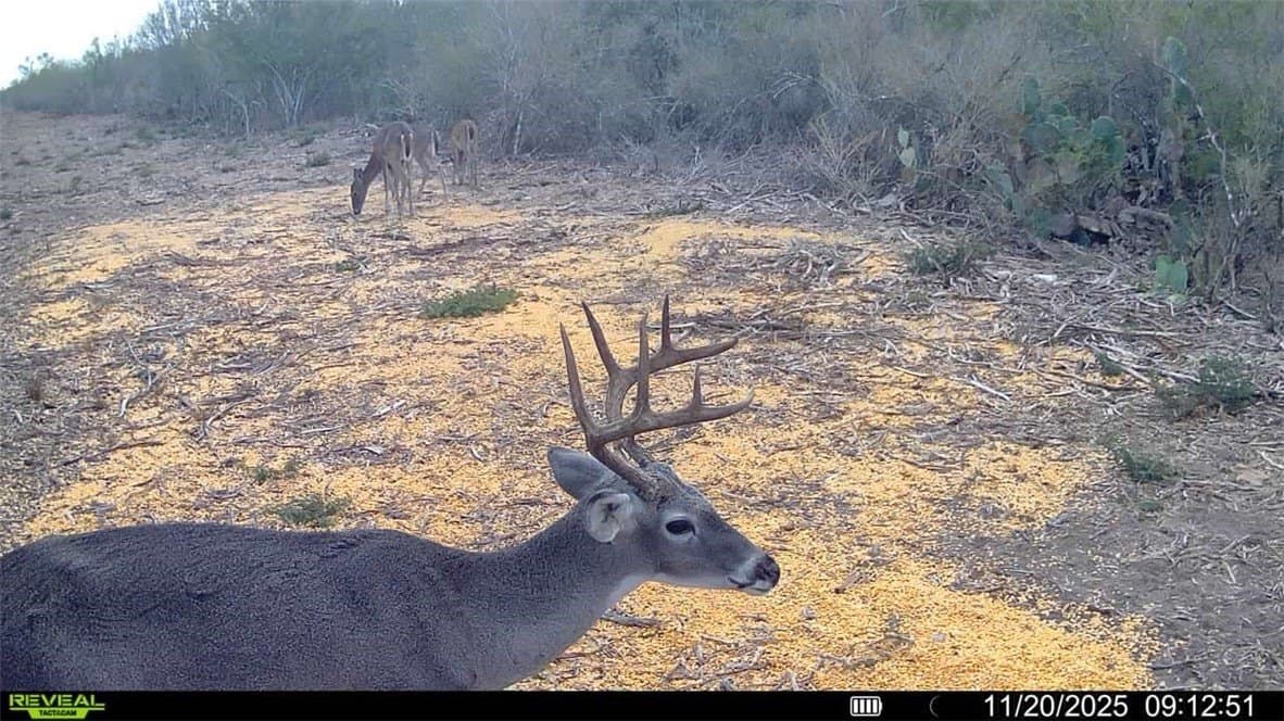39.94 acres in La Salle County - photo 25