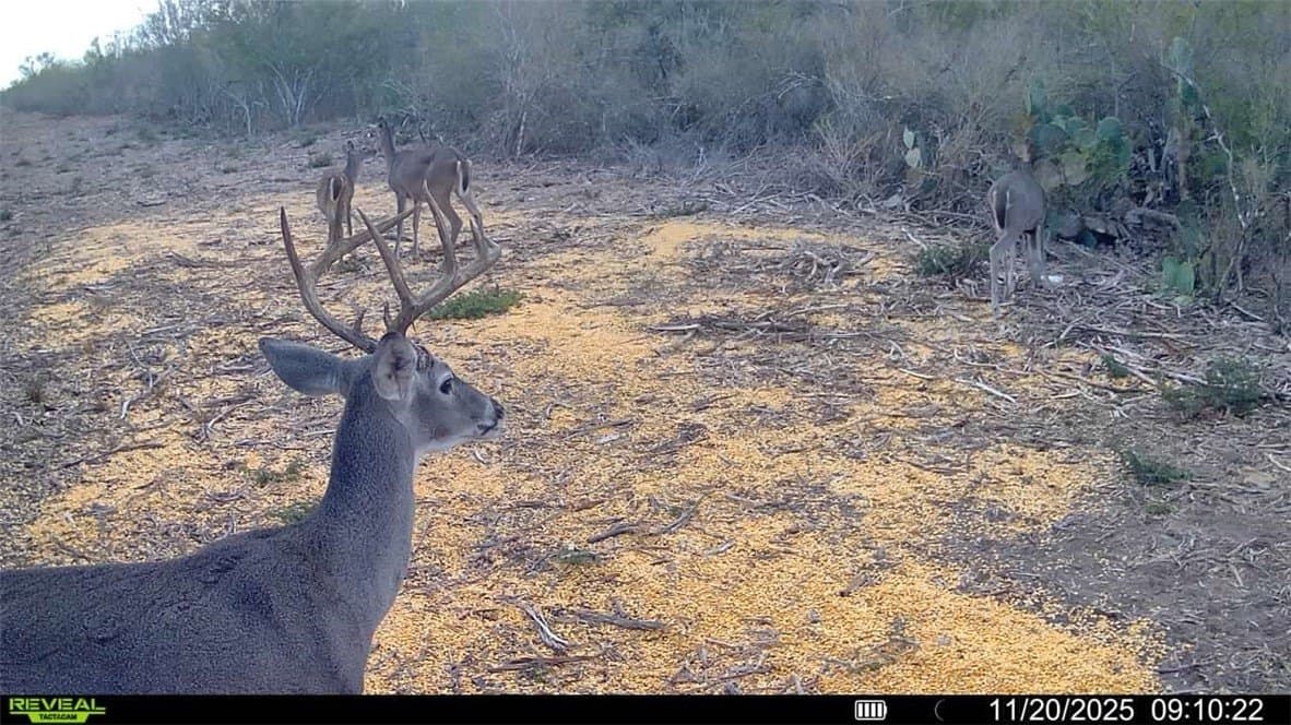 39.94 acres in La Salle County - photo 23