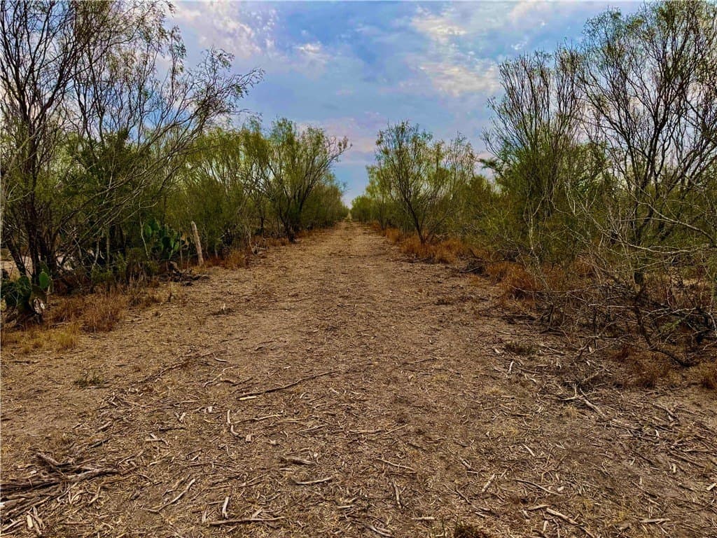 39.94 acres in La Salle County - photo 36