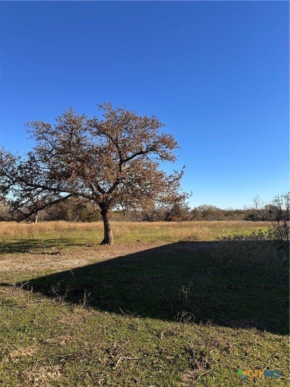 30 acres in Milam County - photo 7