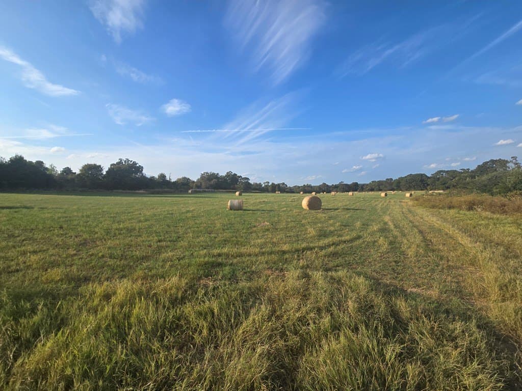 212.07 acres in ANDERSON County - photo 9