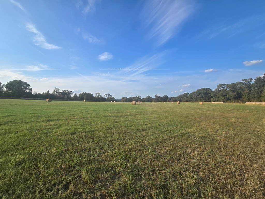 212.07 acres in ANDERSON County - photo 7
