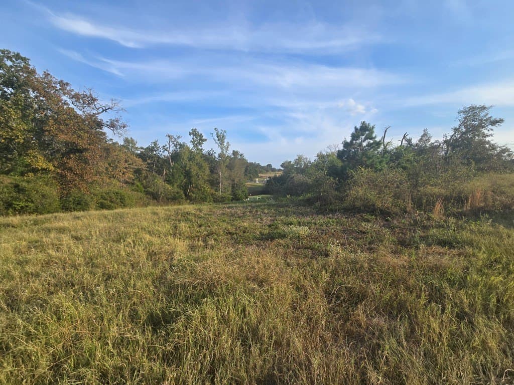212.07 acres in ANDERSON County - photo 6