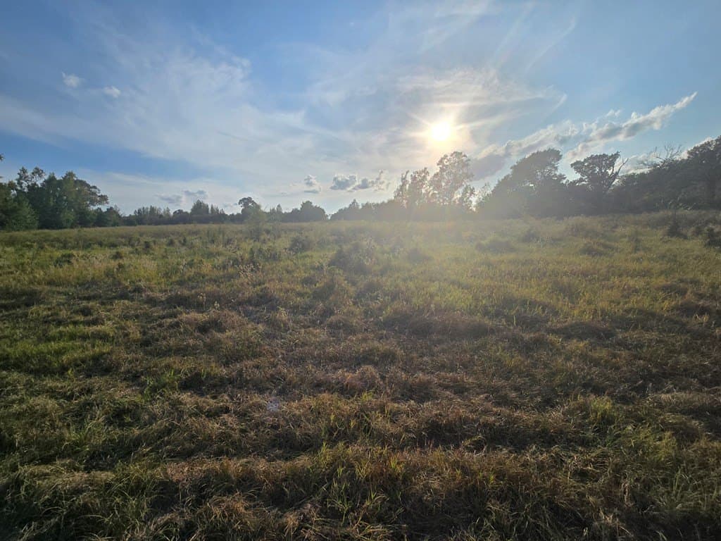 212.07 acres in ANDERSON County - photo 4