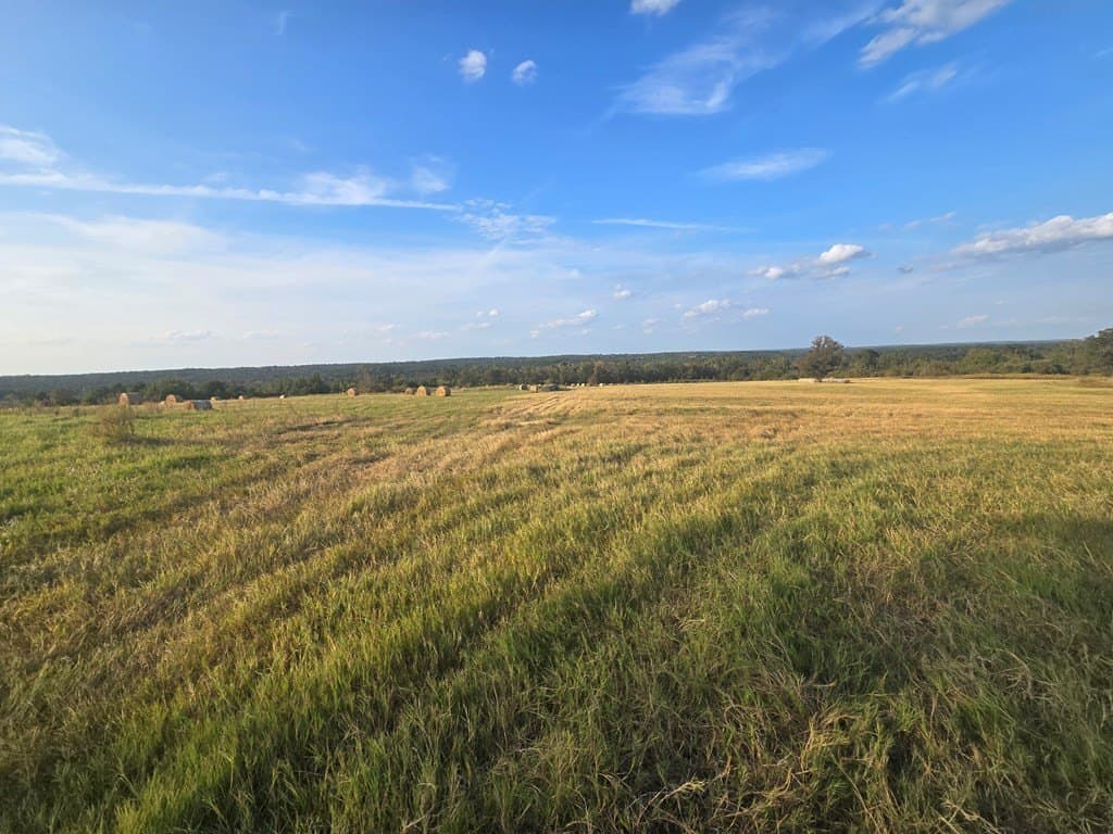 212.07 acres in ANDERSON County - photo 5
