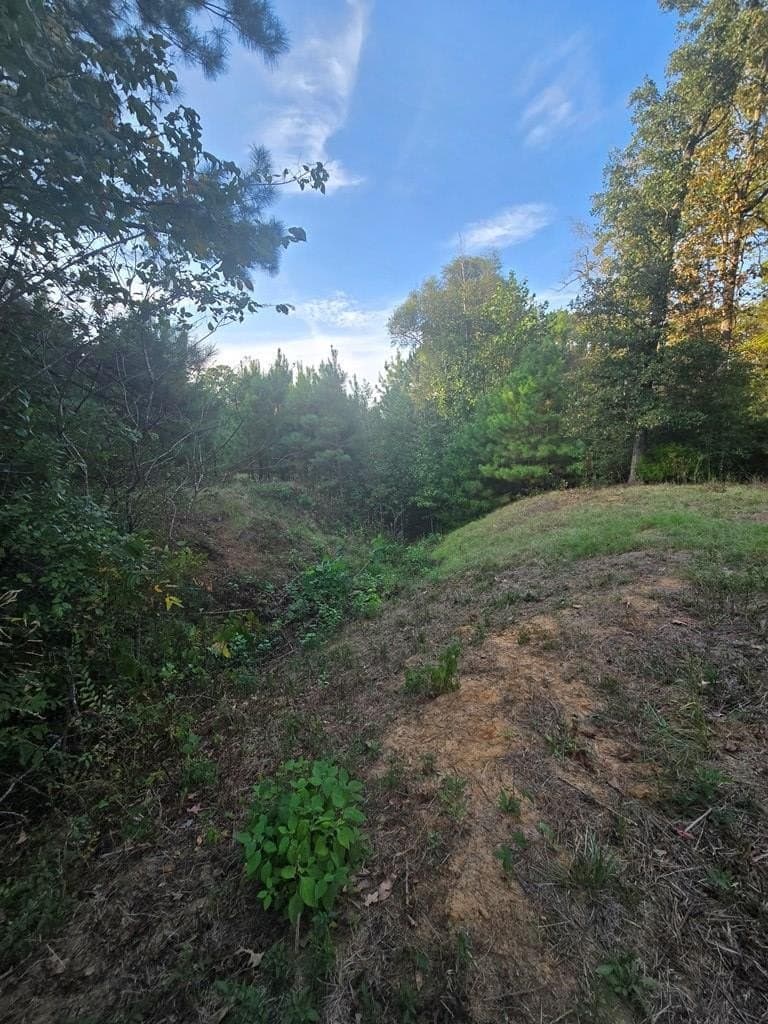 212.07 acres in ANDERSON County - photo 3