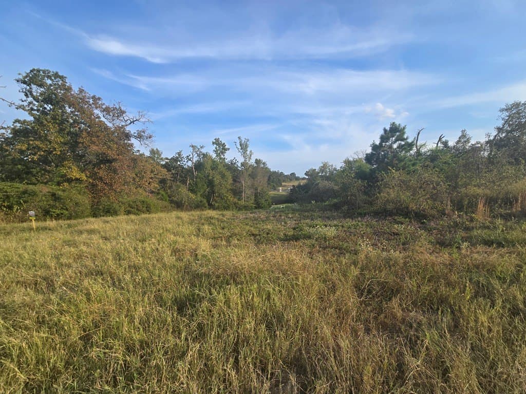 212.07 acres in ANDERSON County - photo 8