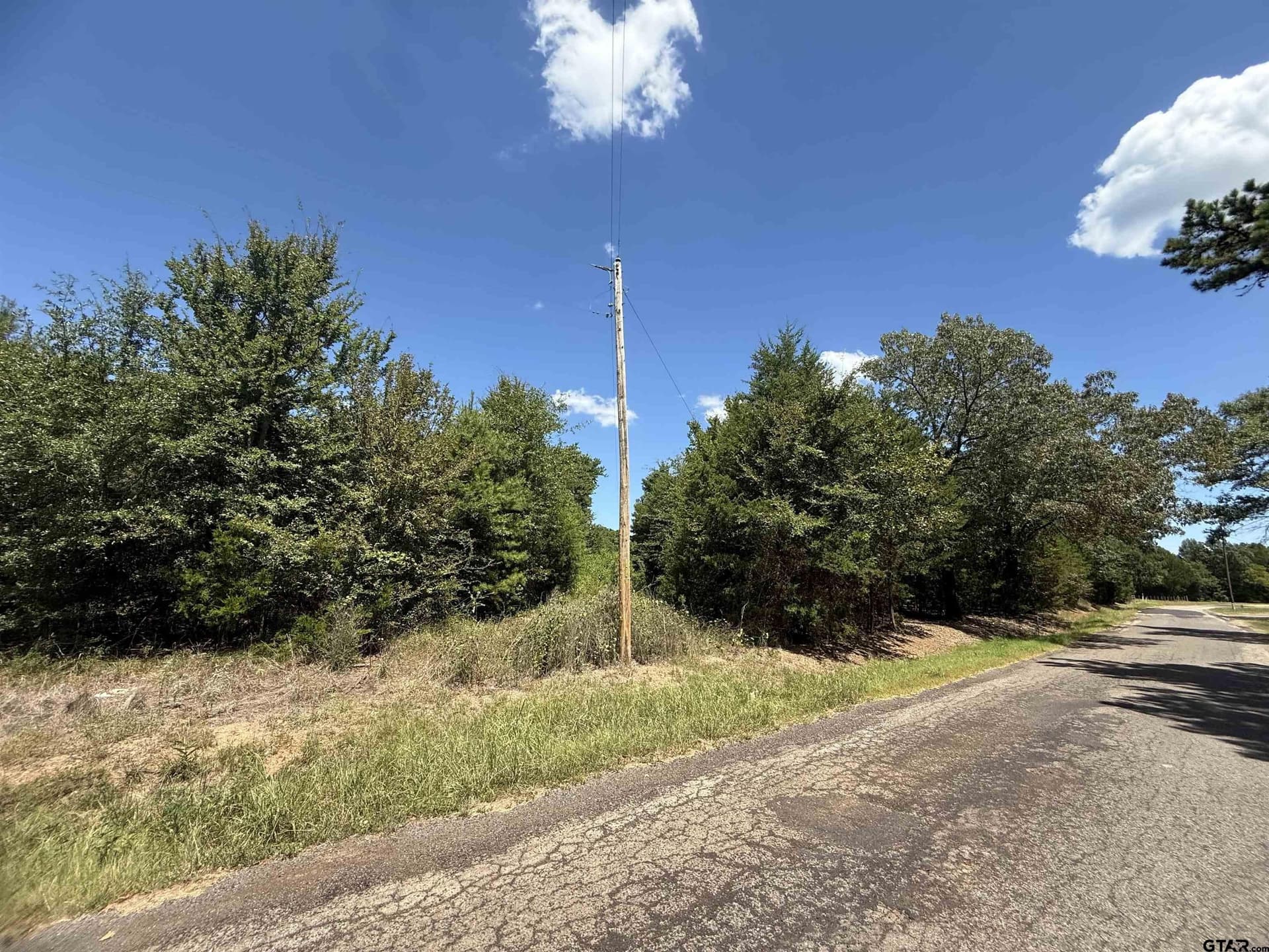 30.23 acres in Titus County - photo 2