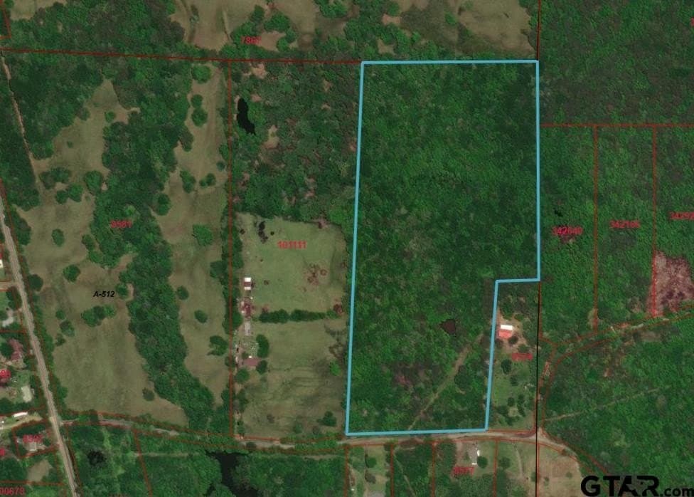 30.23 acres in Titus County - photo 4