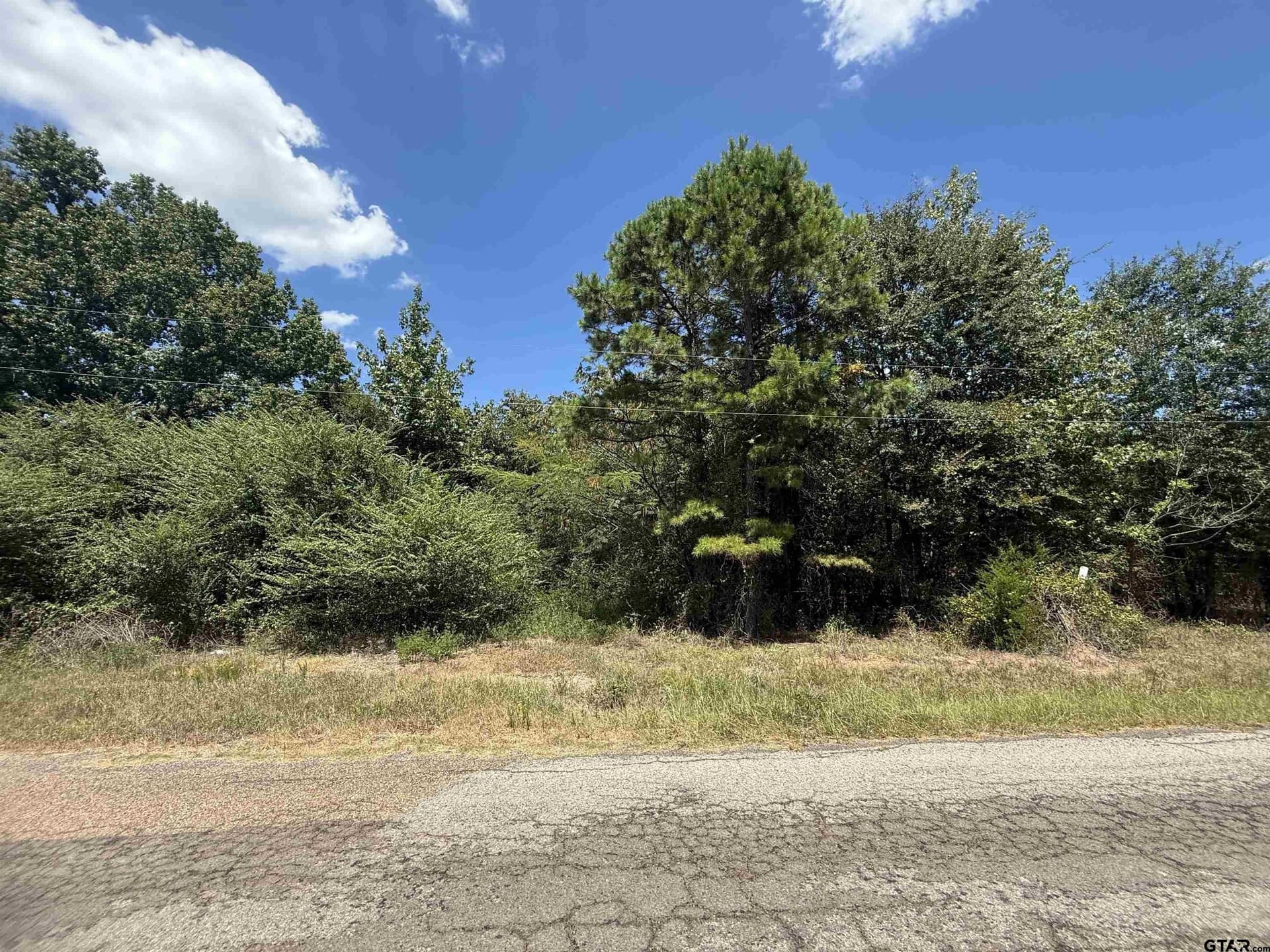 30.23 acres in Titus County - photo 3