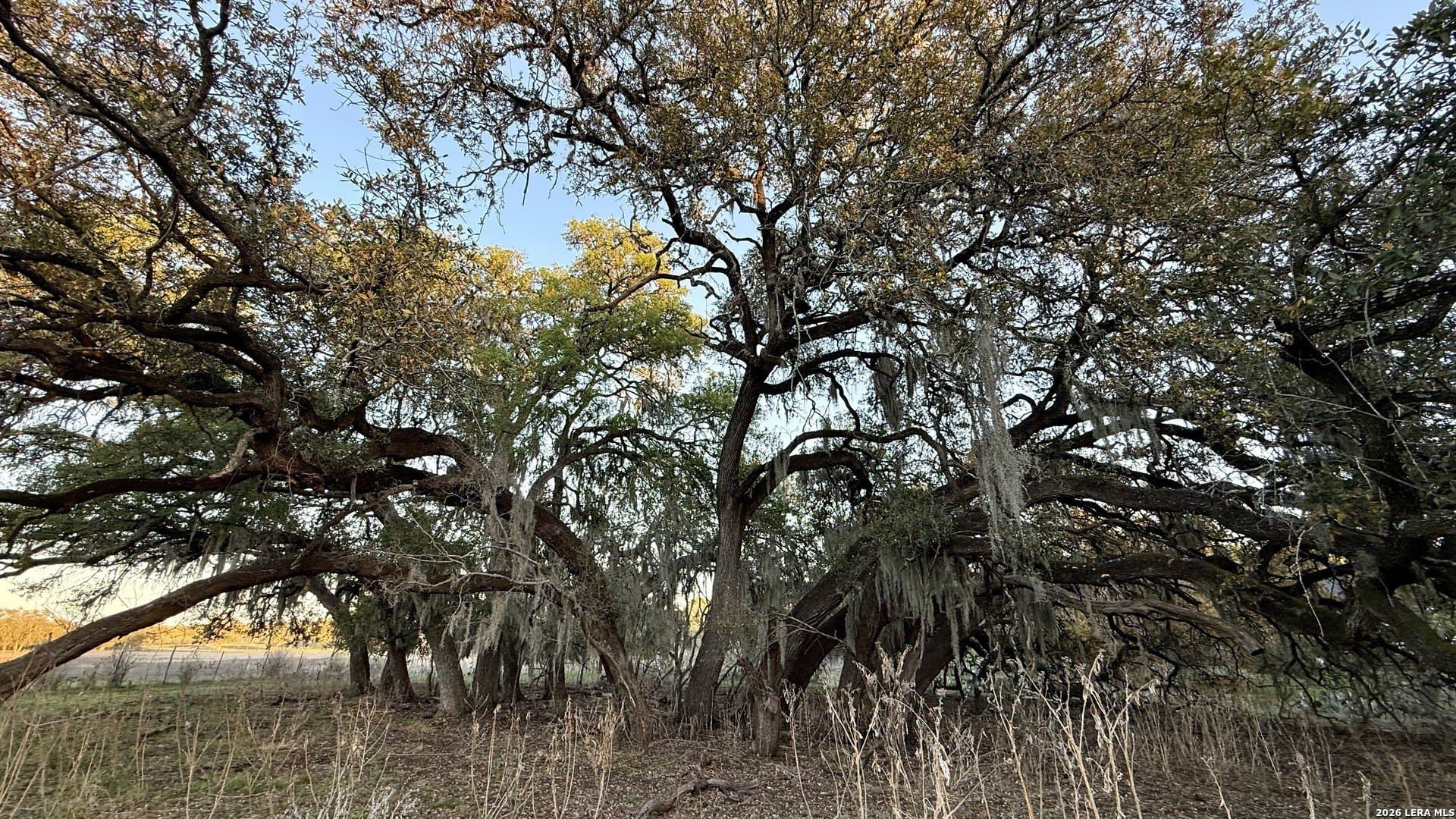 2.46 acres in Comal County - photo 8