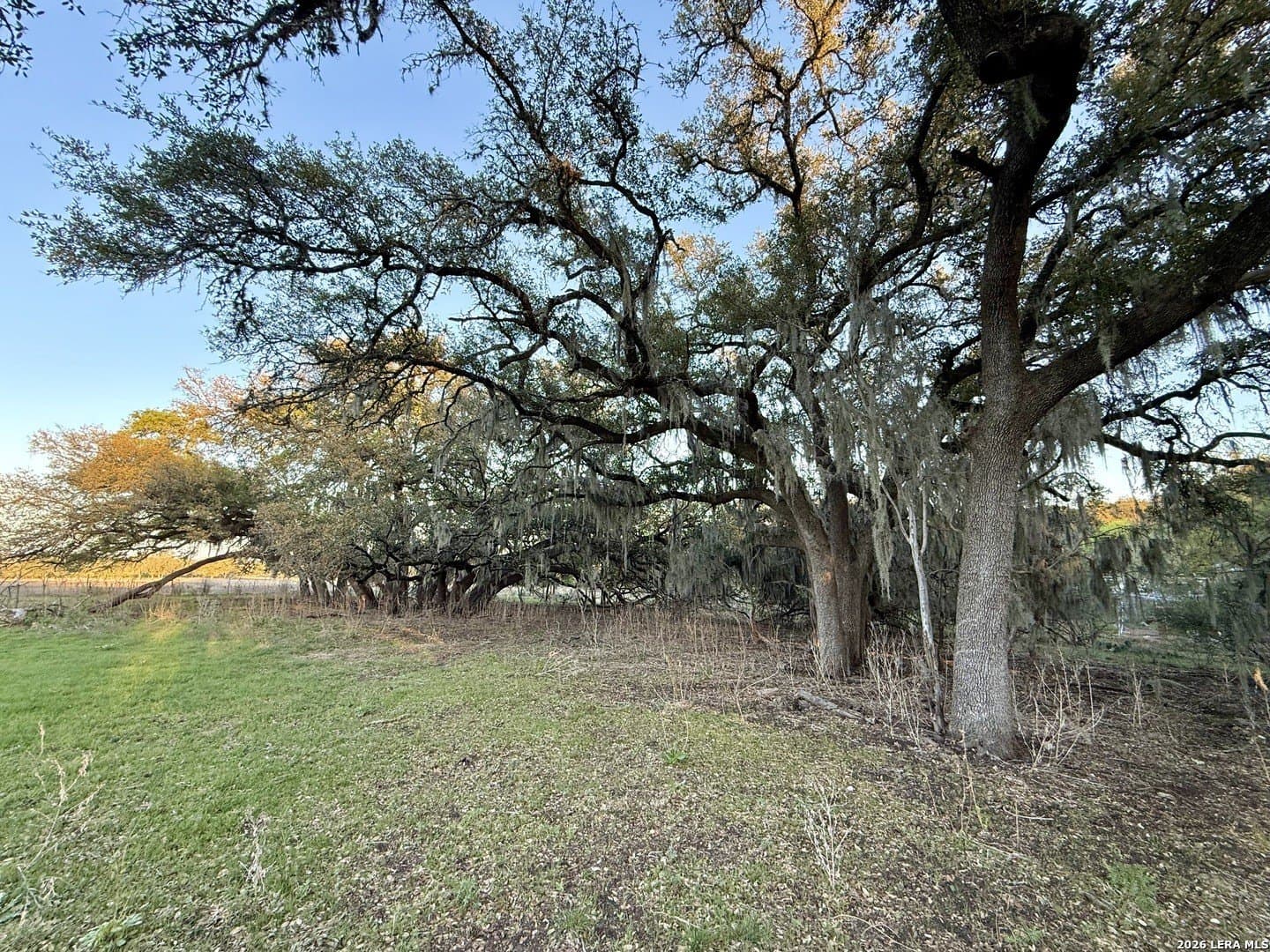 2.46 acres in Comal County - photo 4