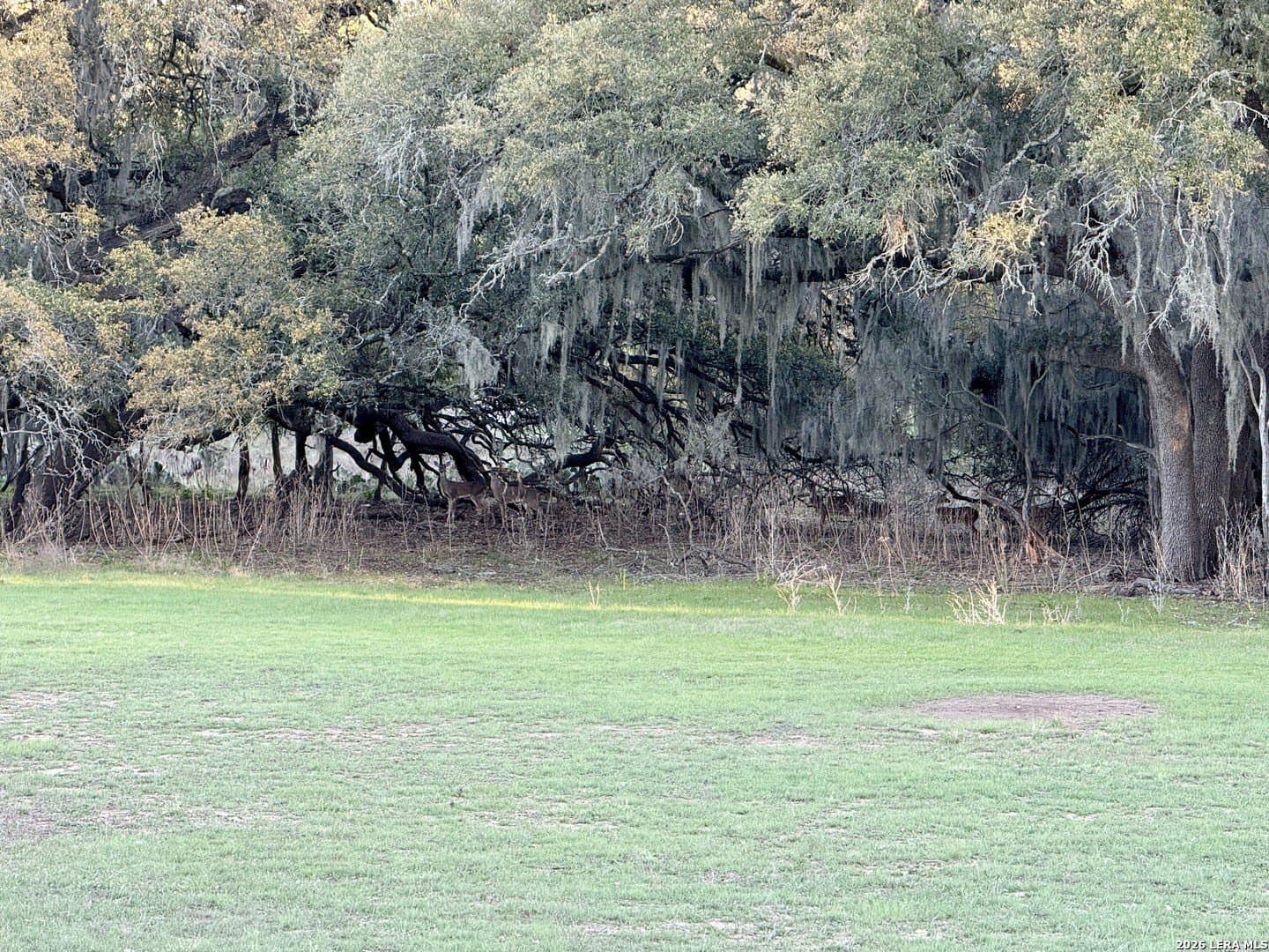 2.46 acres in Comal County - photo 3