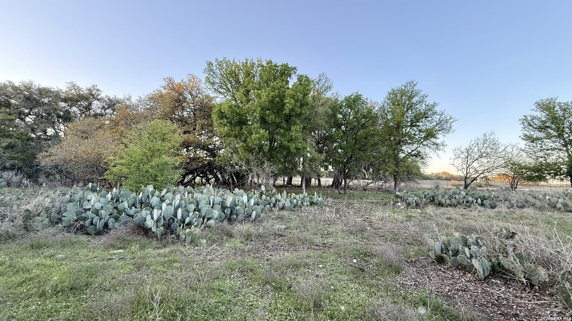 2.46 acres in Comal County - photo 11