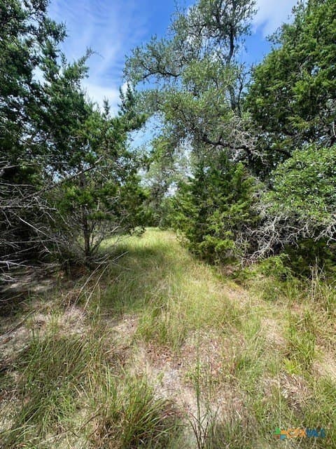 1.23 acres in Comal County - photo 2