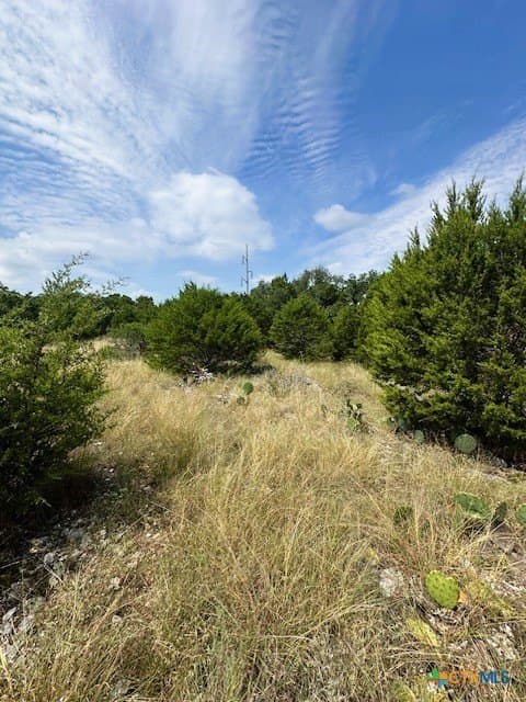 1.23 acres in Comal County - photo 5