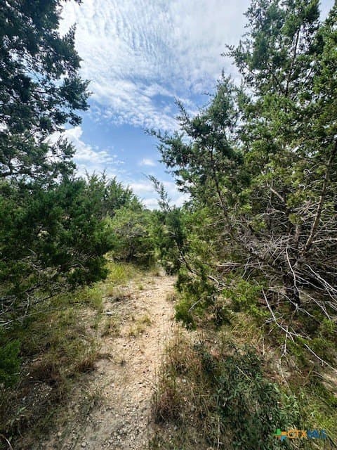 1.23 acres in Comal County - photo 3