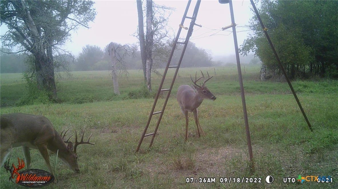 140 acres in Caldwell County - photo 35