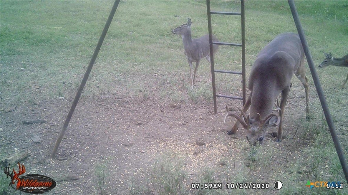 140 acres in Caldwell County - photo 33
