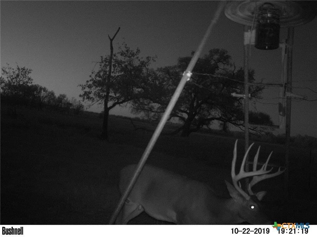 140 acres in Caldwell County - photo 34