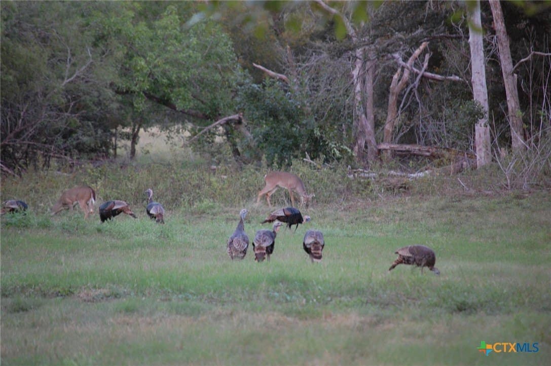 140 acres in Caldwell County - photo 32