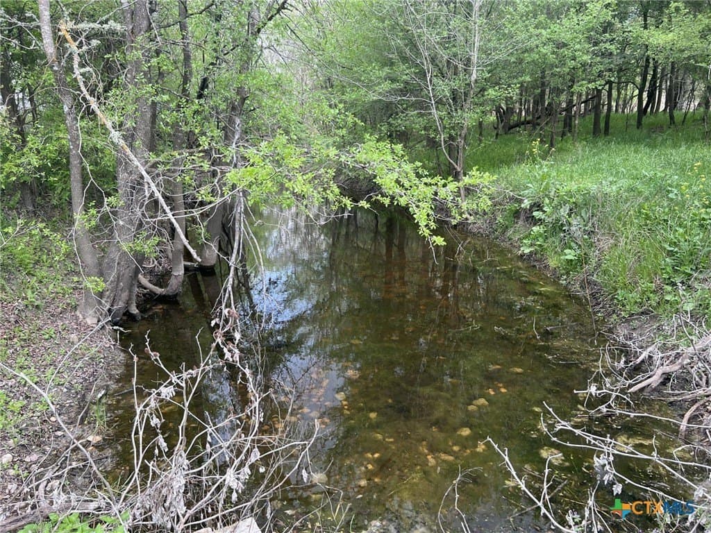 140 acres in Caldwell County - photo 29