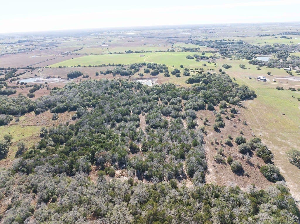 51 acres in Fayette County - photo 29
