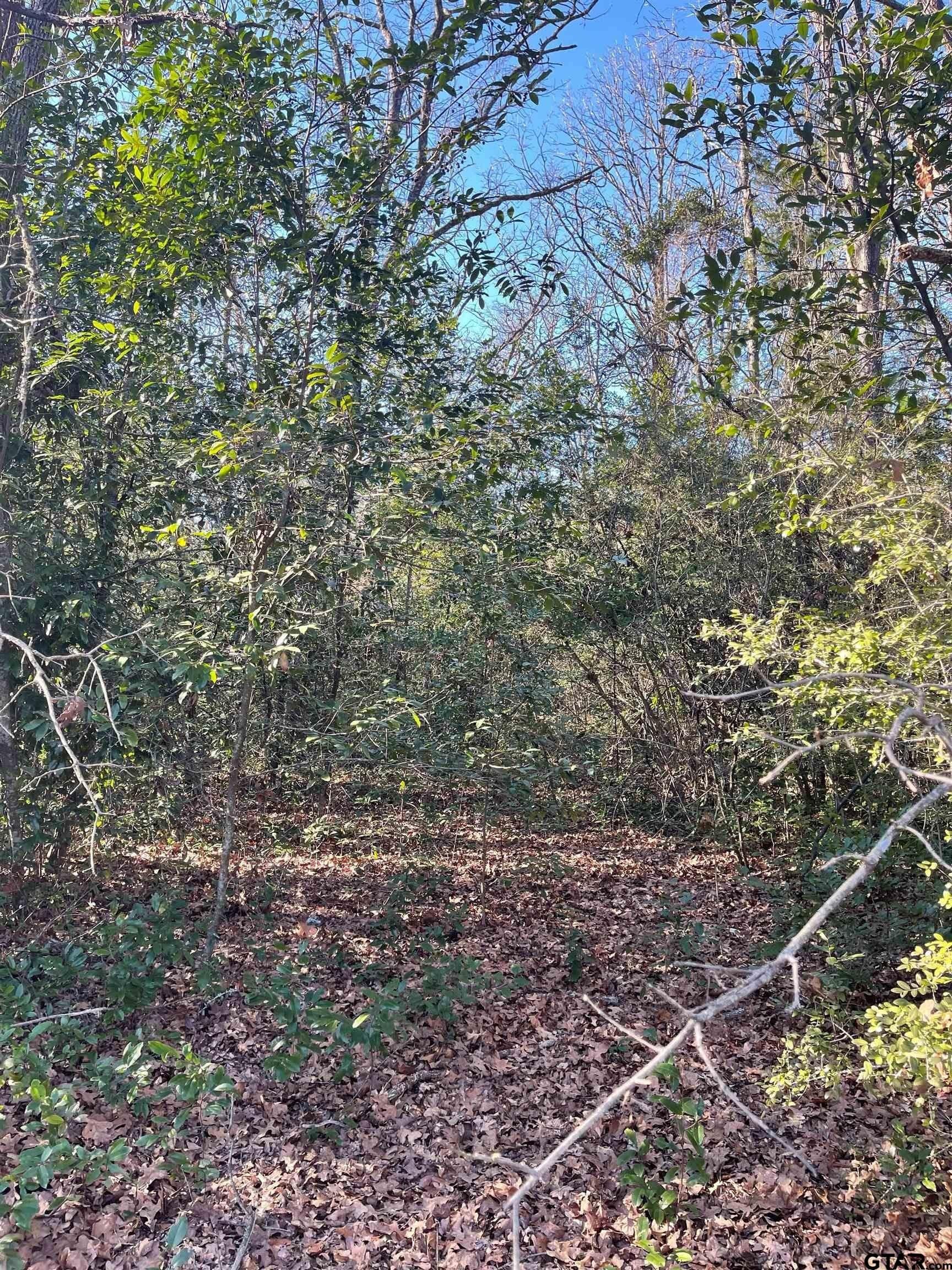 0.16 acres in Wood County - photo 3