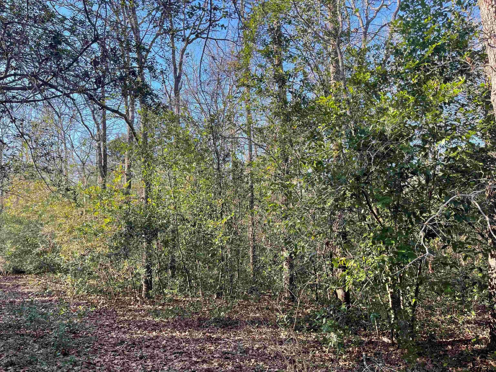 0.16 acres in Wood County - photo 5