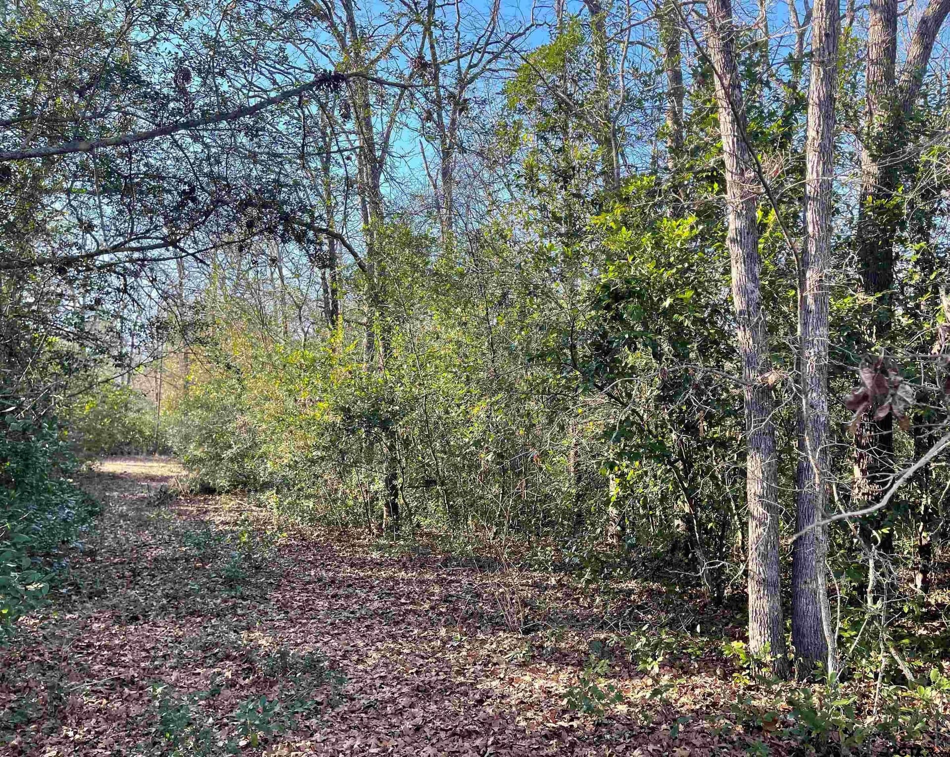 0.16 acres in Wood County - photo 4