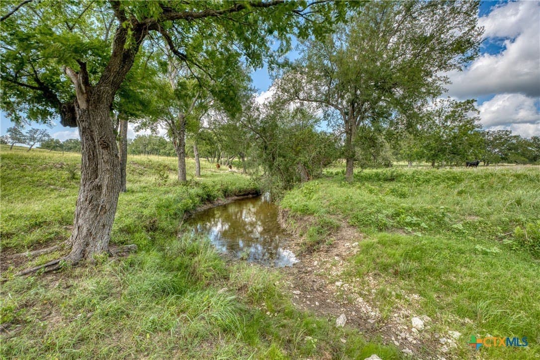 30.1 acres in Burnet County - photo 14