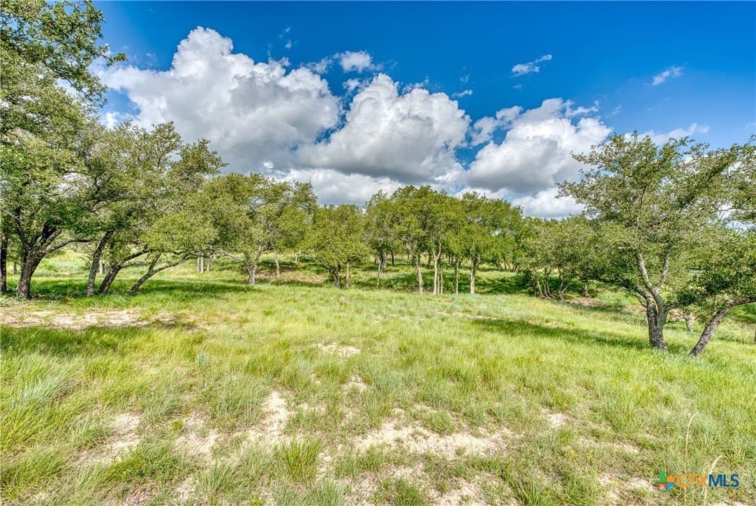 30.1 acres in Burnet County - photo 13