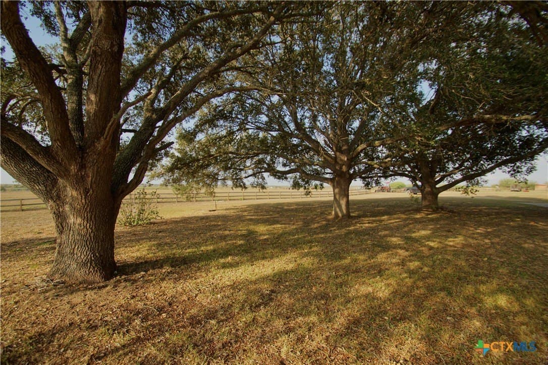 35.74 acres in DeWitt County - photo 6
