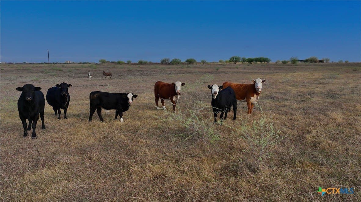 35.74 acres in DeWitt County - photo 36