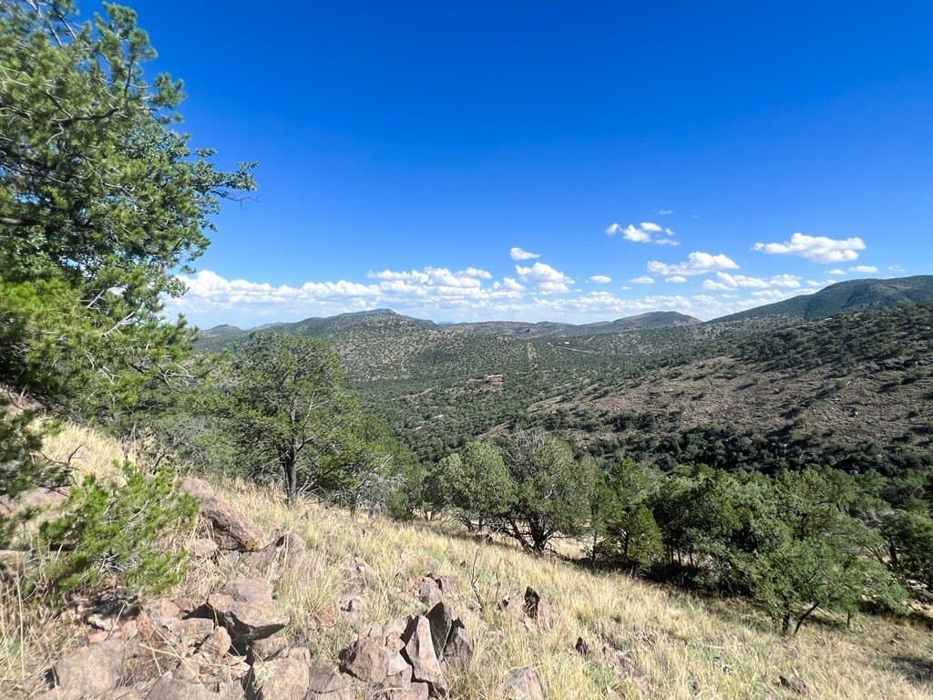 11.32 acres in Jeff Davis County - photo 2