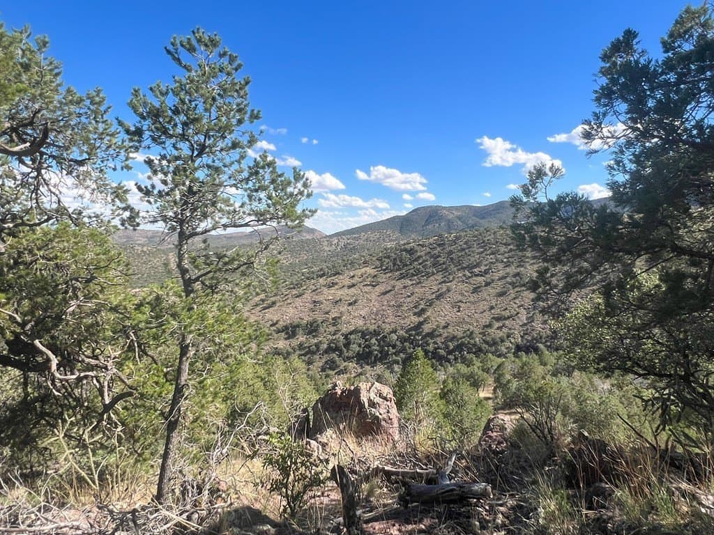 11.32 acres in Jeff Davis County - photo 14