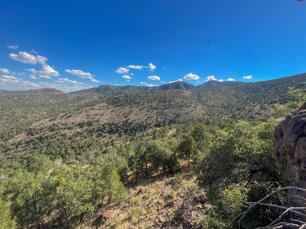 11.32 acres in Jeff Davis County - photo 16