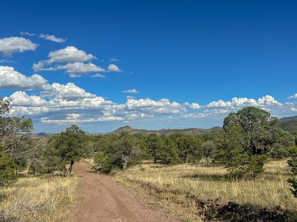 11.32 acres in Jeff Davis County - photo 17