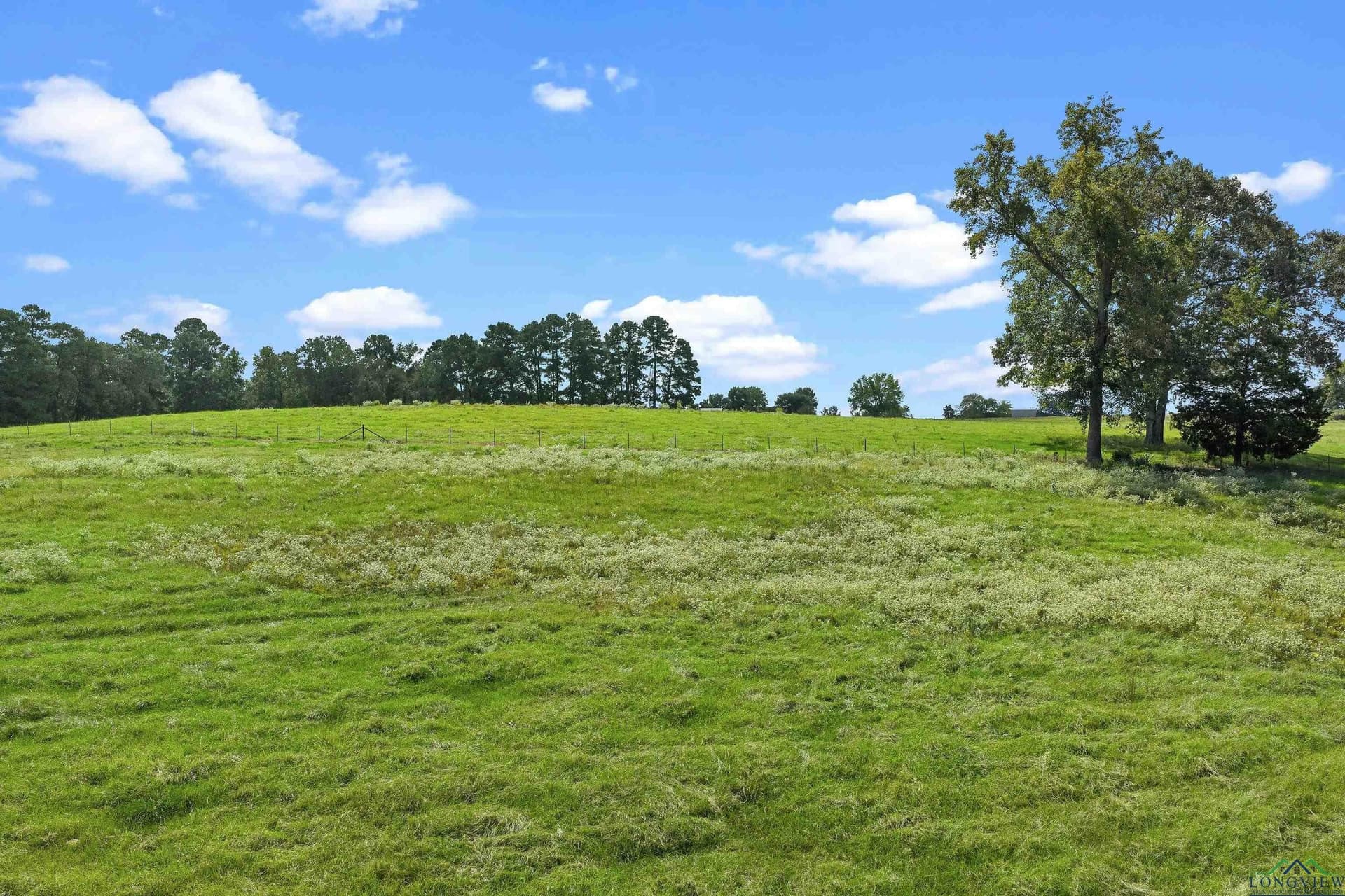 54.99 acres in Rusk County - photo 37
