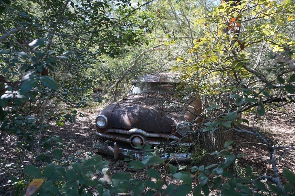 73.3 acres in Texas County - photo 6