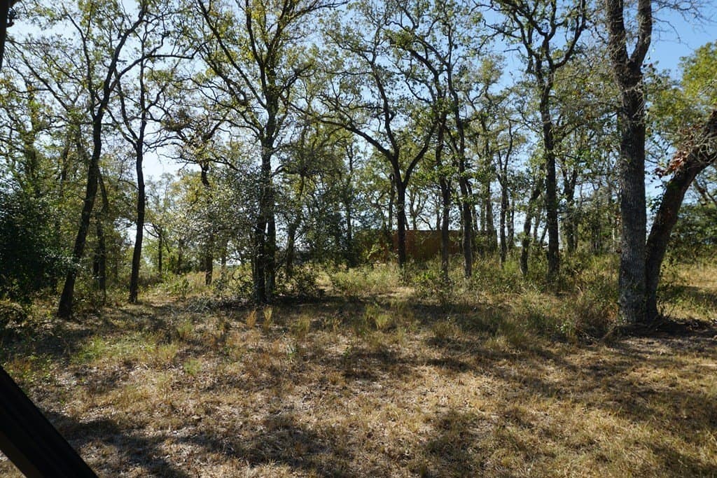 73.3 acres in Texas County - photo 13