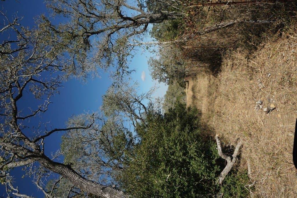 73.3 acres in Texas County - photo 11