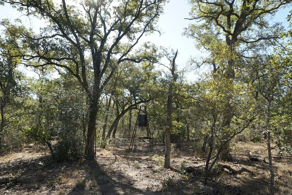 73.3 acres in Texas County - photo 10