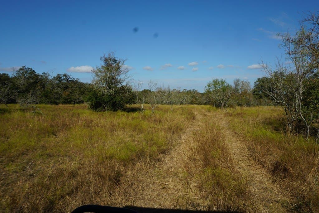 73.3 acres in Texas County - photo 4