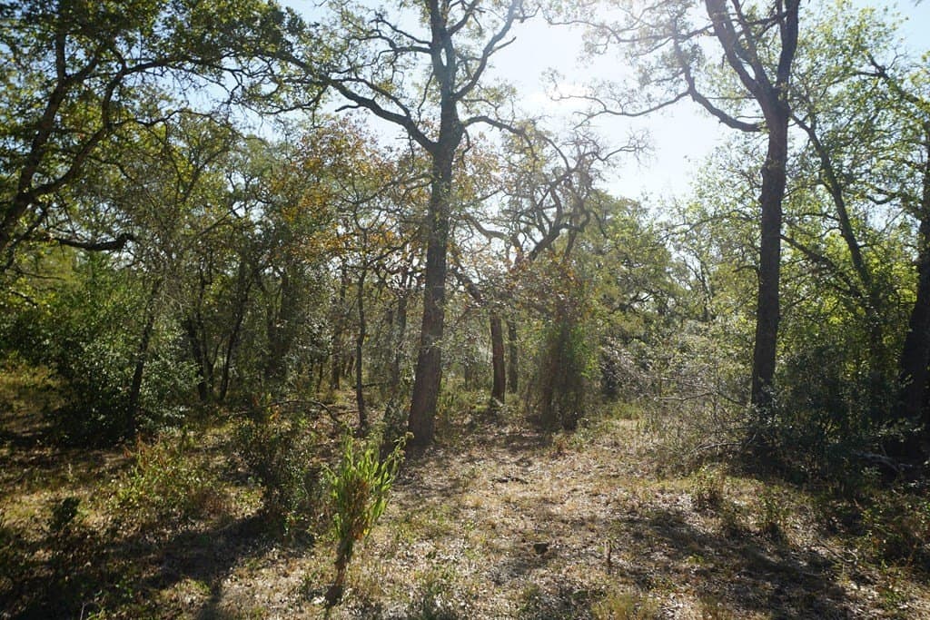 73.3 acres in Texas County - photo 16