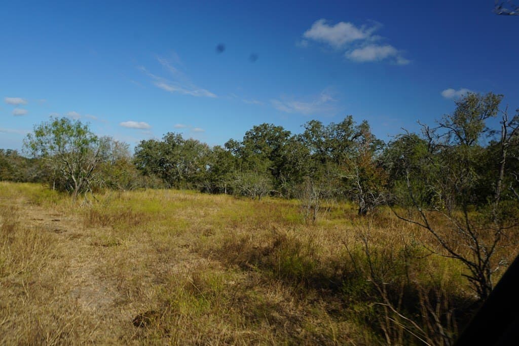 73.3 acres in Texas County - photo 5