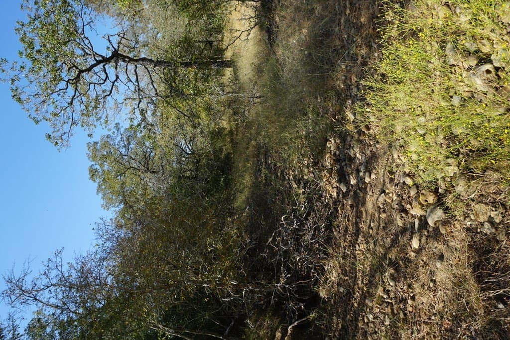 73.3 acres in Texas County - photo 12