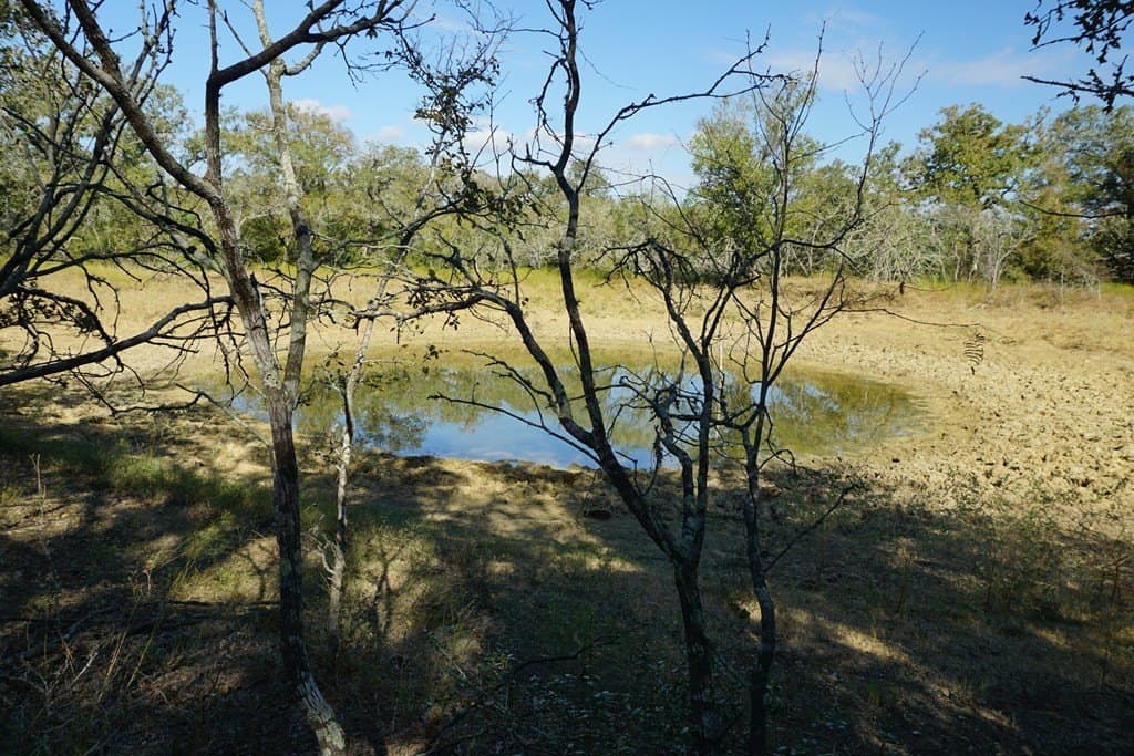 73.3 acres in Texas County - photo 9