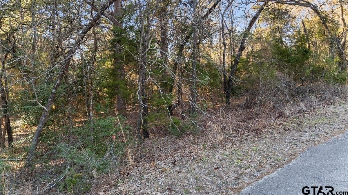 0.35 acres in Smith County - photo 11