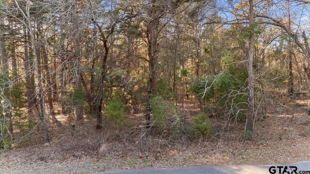 0.35 acres in Smith County - photo 9